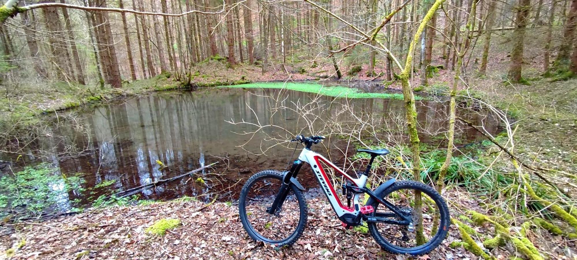 Ferienwohnung Hecht - Biketrail Fun & Relaxing Wolfegg Kültér fotó
