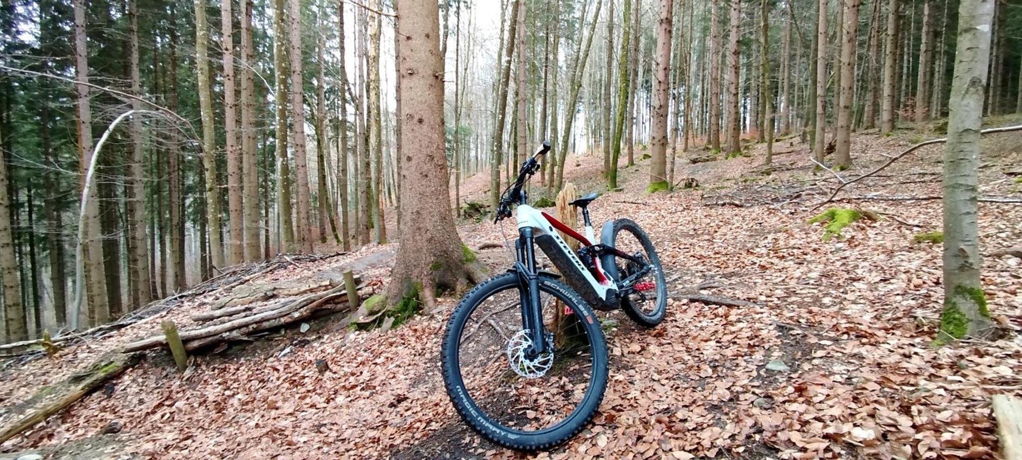 Ferienwohnung Hecht - Biketrail Fun & Relaxing Wolfegg Kültér fotó
